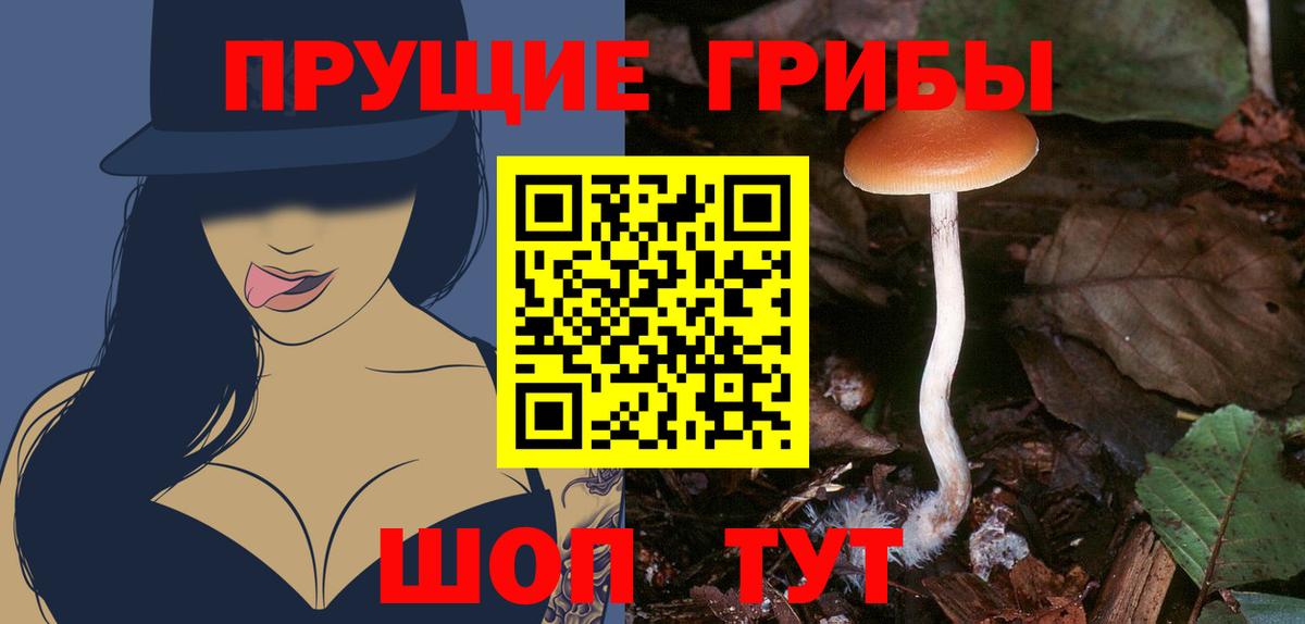Псилоцибиновые грибы GOLDEN TEACHER Воркута